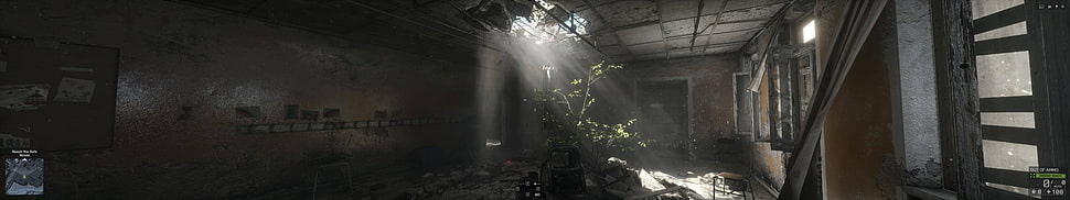 green leafed plant, Battlefield 4, video games HD wallpaper