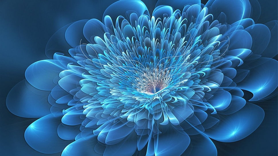 blue and white petaled flower, abstract, flowers, digital art, blue HD wallpaper