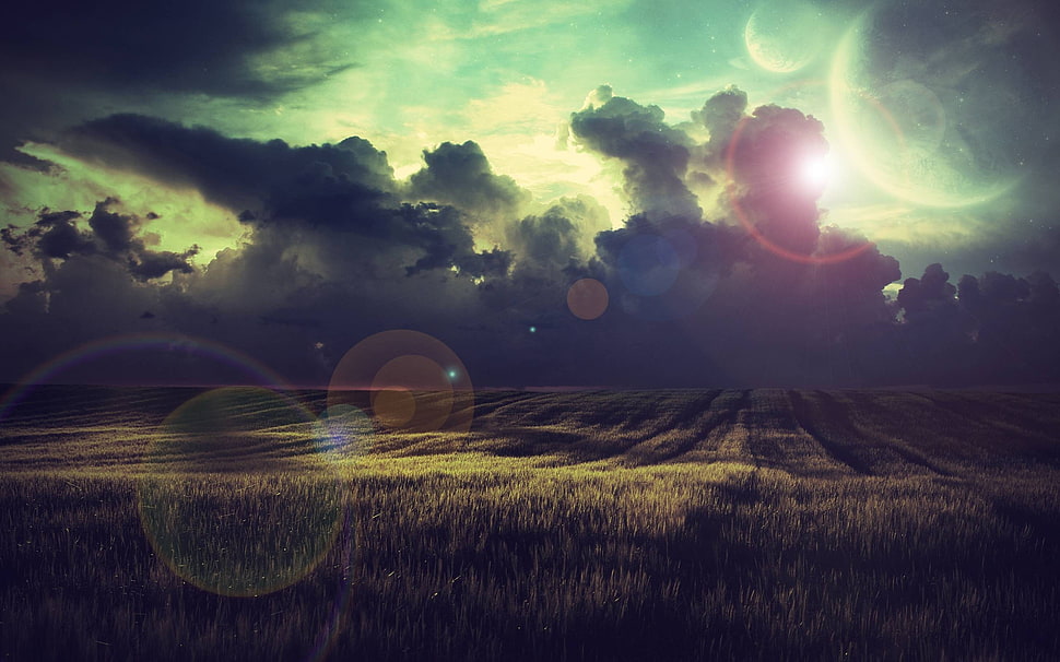 green grass, nature, field, clouds, grass HD wallpaper