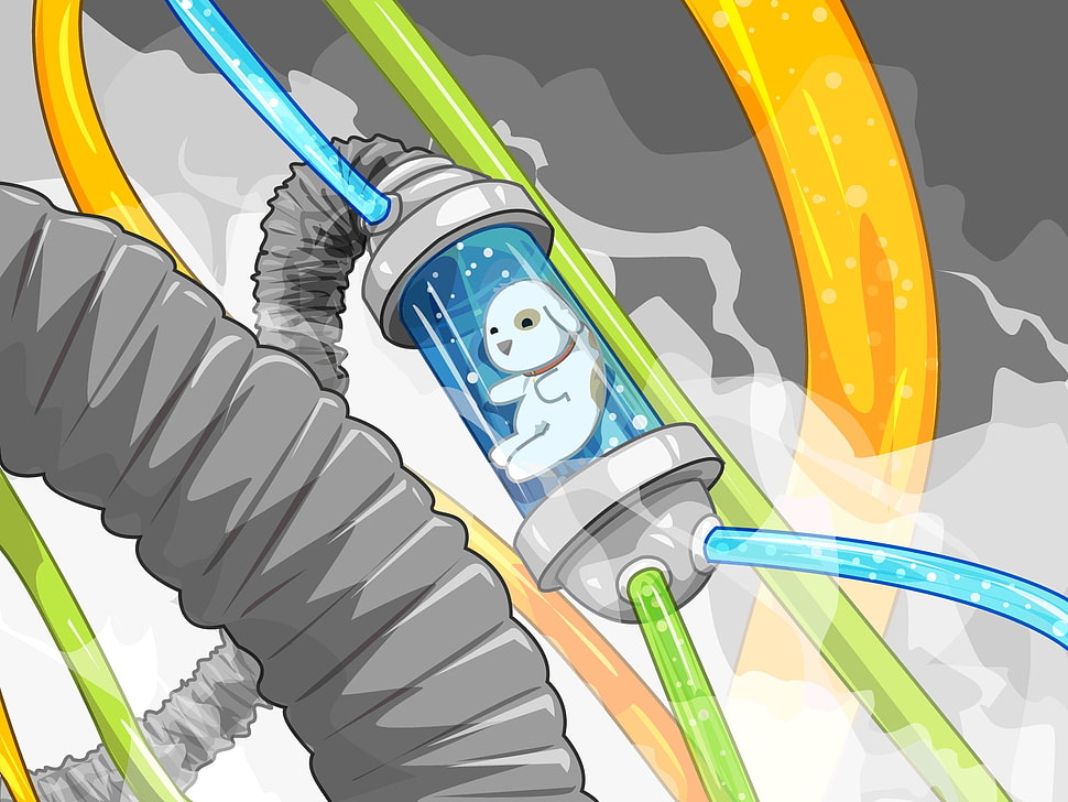 white dog on a capsule tank HD wallpaper
