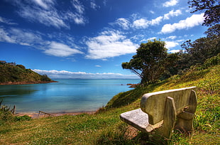 bench on land near beach during daytime HD wallpaper