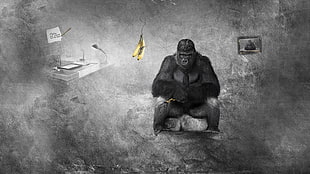 black Gorilla wallpaper, monkey, monochrome, bananas HD wallpaper