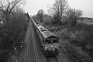 gray scale photography of train, cardiff