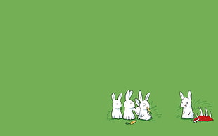 four white rabbit wallpaper, rabbits, dark humor, minimalism HD wallpaper