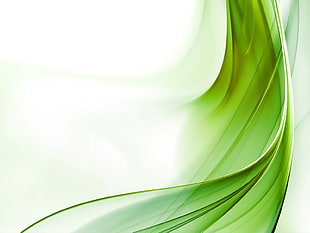 green and white wallpaper
