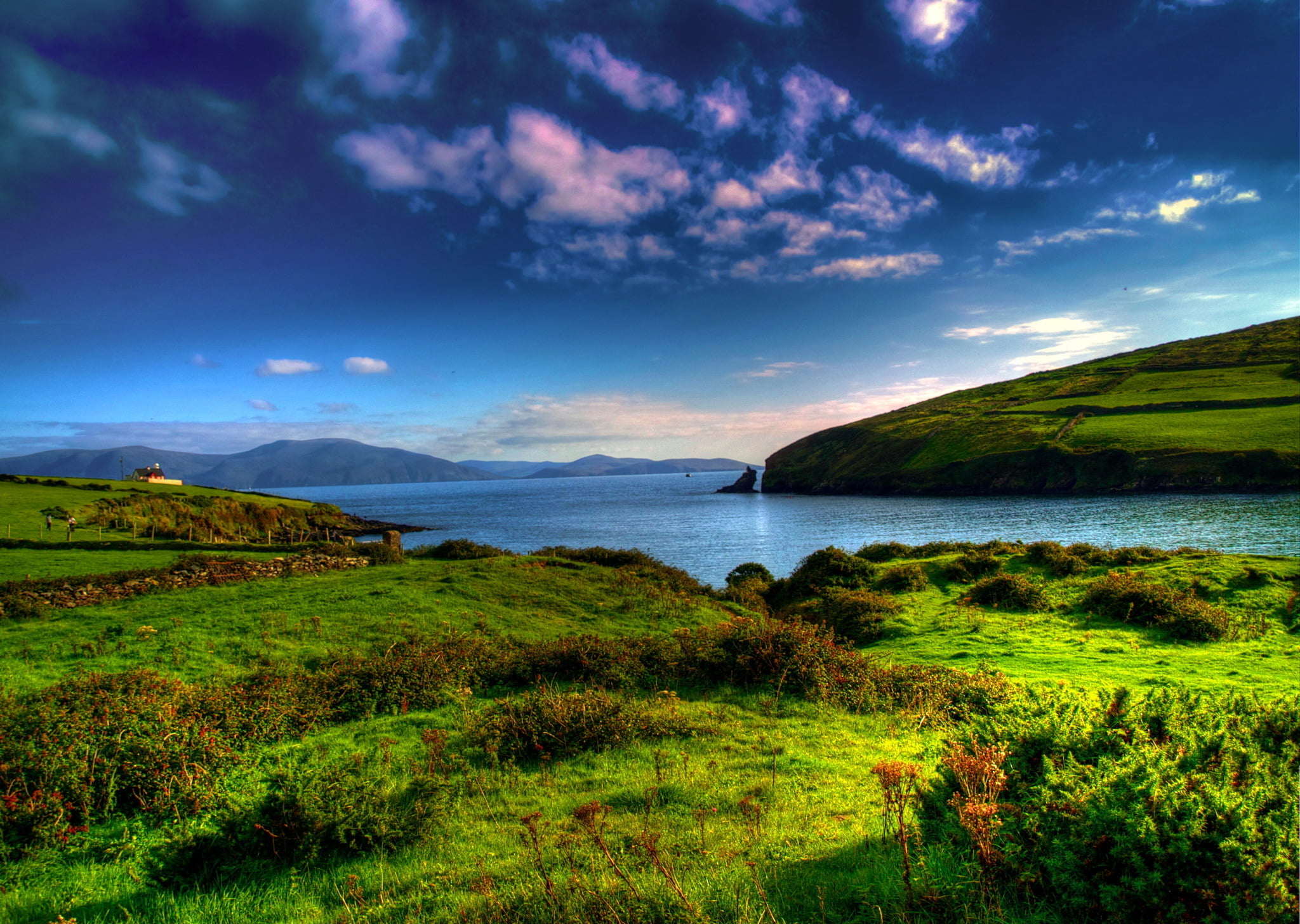 landscape photography of green grass field near body of water