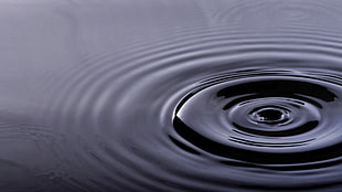 water drop digital wallpaper, water drops, water, ripples