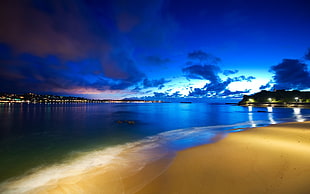 green leafed tree, beach