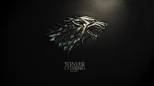Winter is coming Game of Thrones poster, Game of Thrones, sigils, House Stark