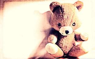 brown Teddy bear leans on white wall