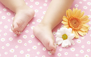 baby's feet near two white and yellow petaled flower
