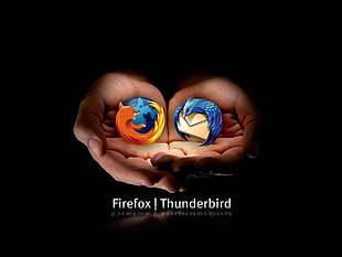 Firefox and Thunderbird logos, Mozilla Firefox, logo, open source, Browser HD wallpaper
