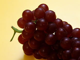 grapes with green stem