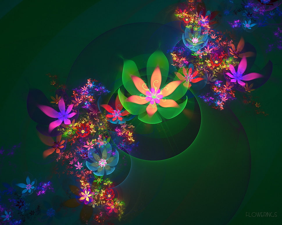 multicolored flower 3D wallpaper HD wallpaper