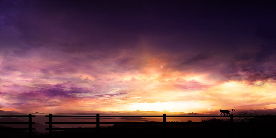 black flat screen computer monitor, cat, clouds, landscape, sunset HD wallpaper