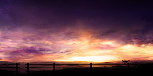 black flat screen computer monitor, cat, clouds, landscape, sunset