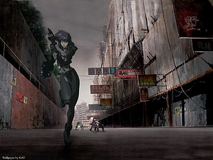 female game character, anime, Ghost in the Shell