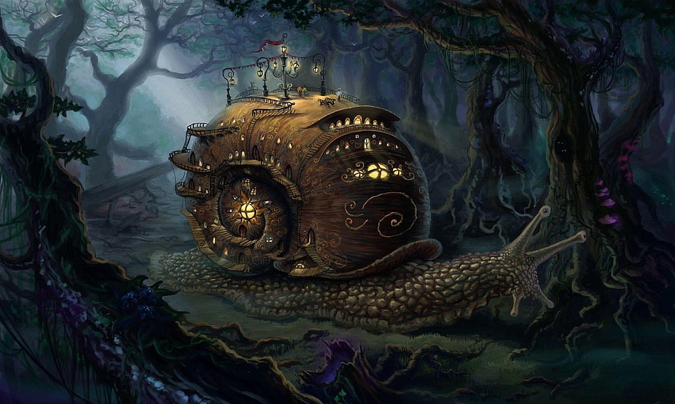 snail wallpaper HD wallpaper
