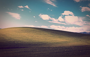 hill Windows wallpaper, landscape, Windows XP, bliss