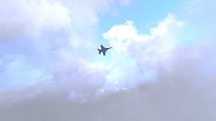 black and white bird with white bird, FA-18 Hornet, Arma 3, jet fighter, sky