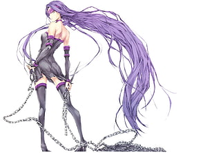 purple haired female anime character holding chains illustration, Fate Series, Rider (Fate/Stay Night) HD wallpaper