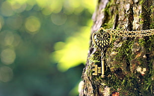 gold-colored chain necklace with key pendant, green, owl, keys, chains