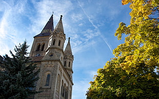 gray concrete castle under blue sky near trees
