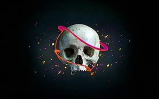 white skull digital wallpaper, skull, artwork, colorful, digital art