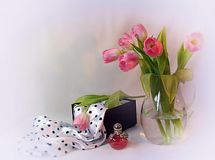 pink tulips flowers in glass vase