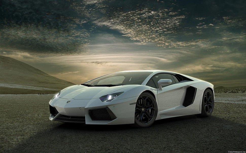 white Lamborghini Aventador coupe, car, sports car, Lamborghini, Lamborghini Aventador HD wallpaper