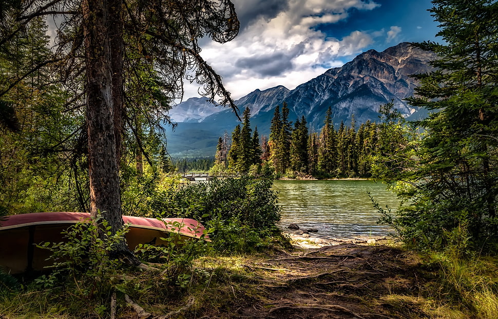 red wooden canoe, landscape, lake, pine trees, forest HD wallpaper