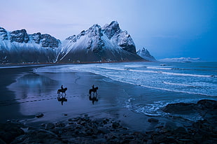 body of water, horse, sea, mountains