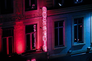 red brasserie lighted signage, night, neon lights HD wallpaper