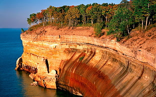 photo of cliff with trees near ocean during day time