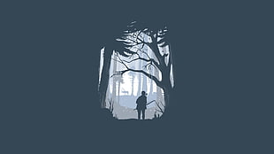 black forest illustration HD wallpaper