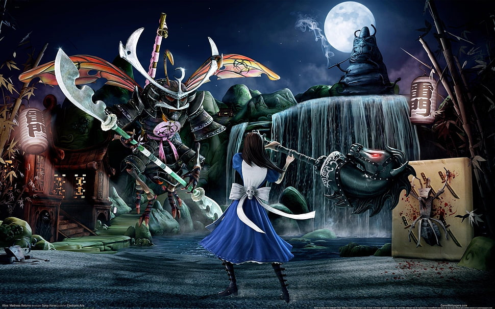 female anime character illustration, video games, Alice: Madness Returns, Alice, Alice in Wonderland HD wallpaper
