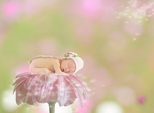 baby sleeping on flower wallpaper HD wallpaper