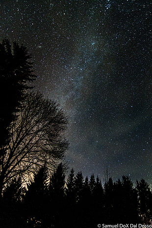 night skies full of stars HD wallpaper