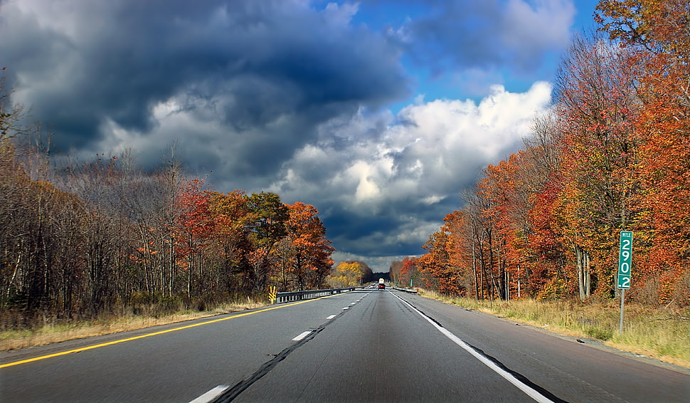 gray concrete highway under gray, white, and blue cloudy sky HD wallpaper