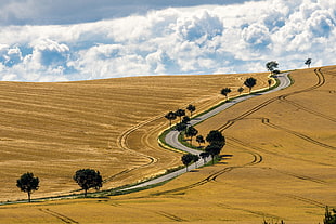 landscape photography of gray road with brown grassfield