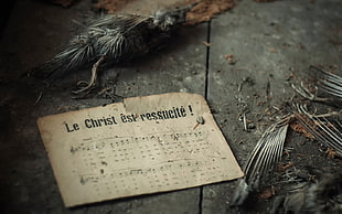 Le Christ es Ressucite poster, musical notes