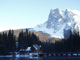 photo of white and gray mountain near forest