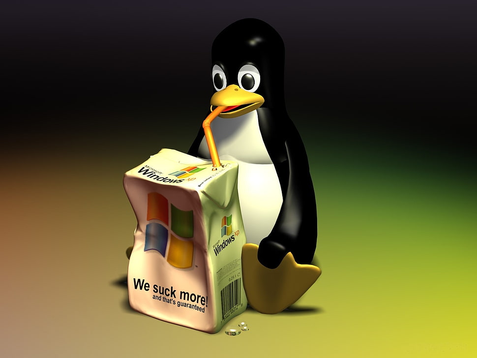 digital photo of penguin drinking Windows XP container HD wallpaper