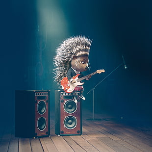 animated hedgehog playing SG guitar sitting on brown and black PA speaker