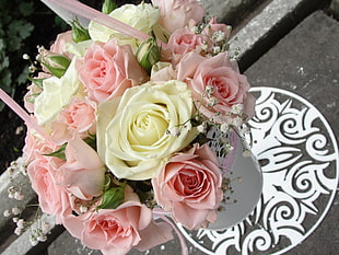 pink and white Rose flowers