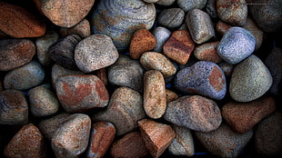 brown and gray stone fragments, nature, stones