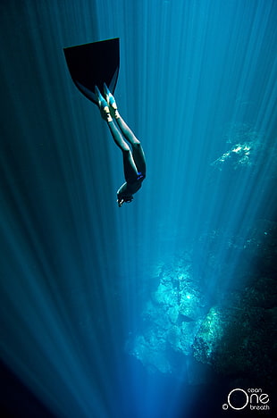 blue and black swimming flipper, nature, sea, divers HD wallpaper