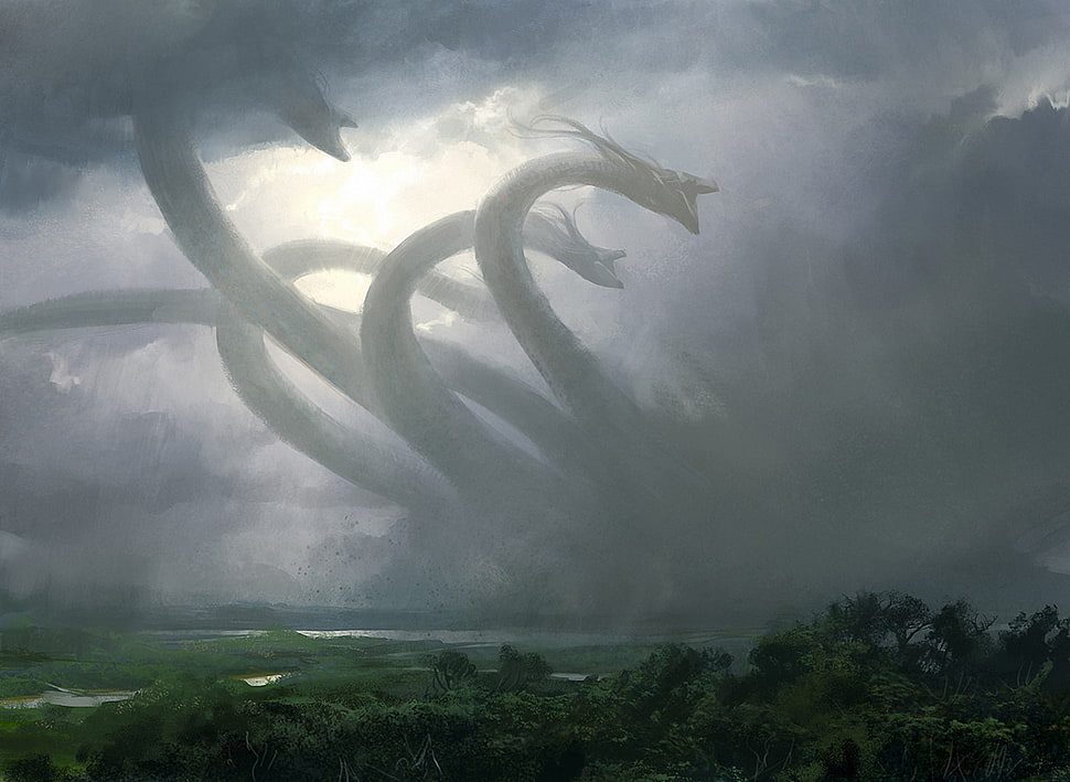 black and gray dragons, fantasy art, hydra, mythology, creature HD wallpaper