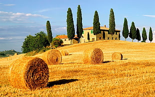 hay rolls on grass field during daytime