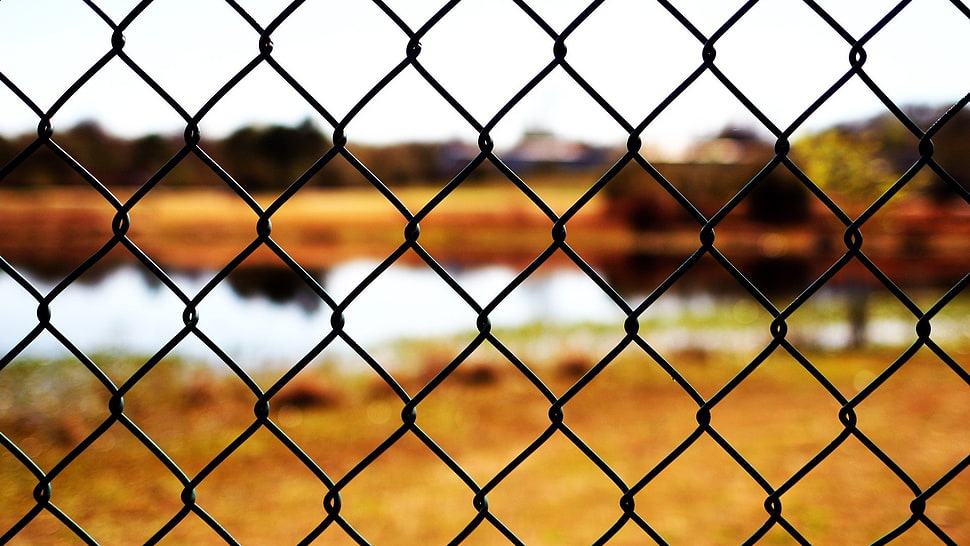 yellow and black area rug, fence, nature, closeup HD wallpaper